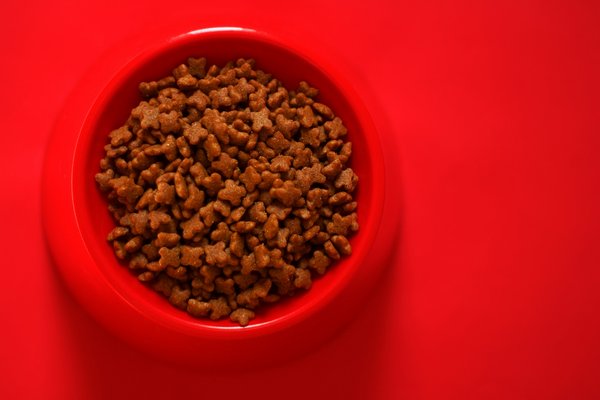 Healthy Diets for Pets for Staying Ahead of the Curve